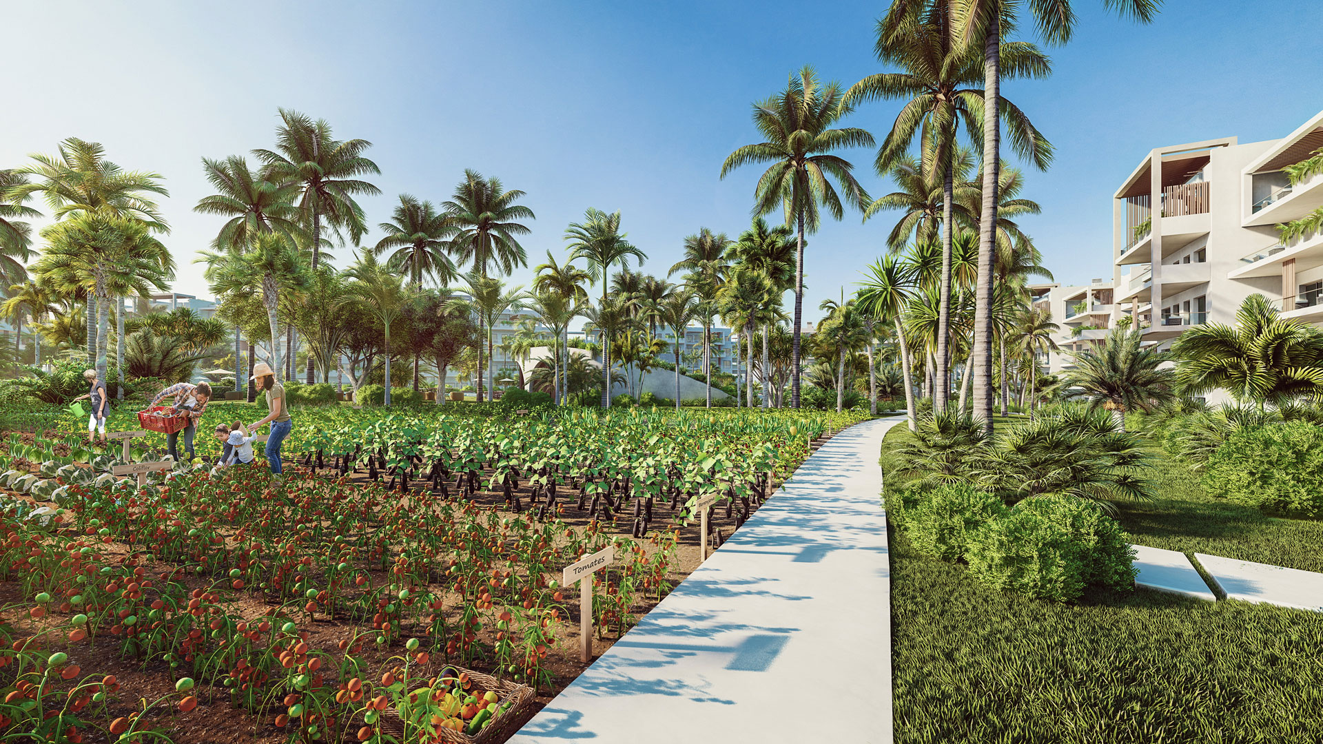Bavaro_CAM28_4
